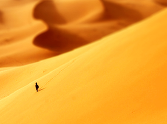 selmanAU0308U00b1farisi